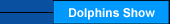 Dolphins Show - Splash Water Park Puerto & Nuevo Vallarta Mexico